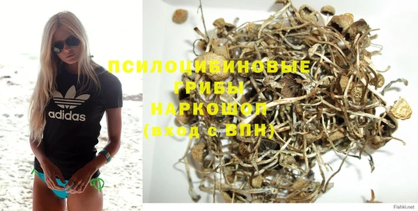 spice Арсеньев