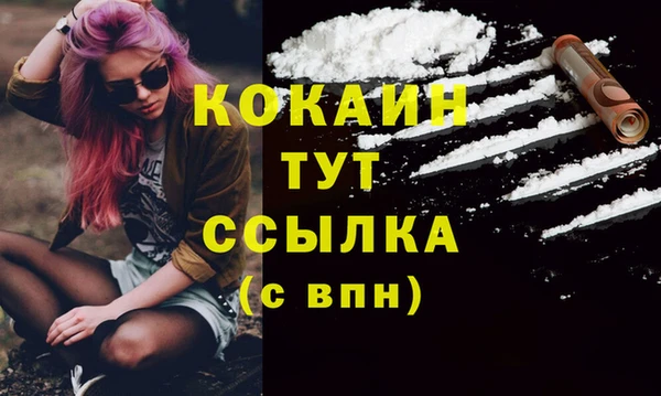 spice Арсеньев