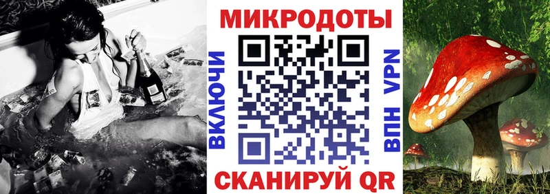 Купить закладки Строитель Галлюциногенные грибы мухоморы